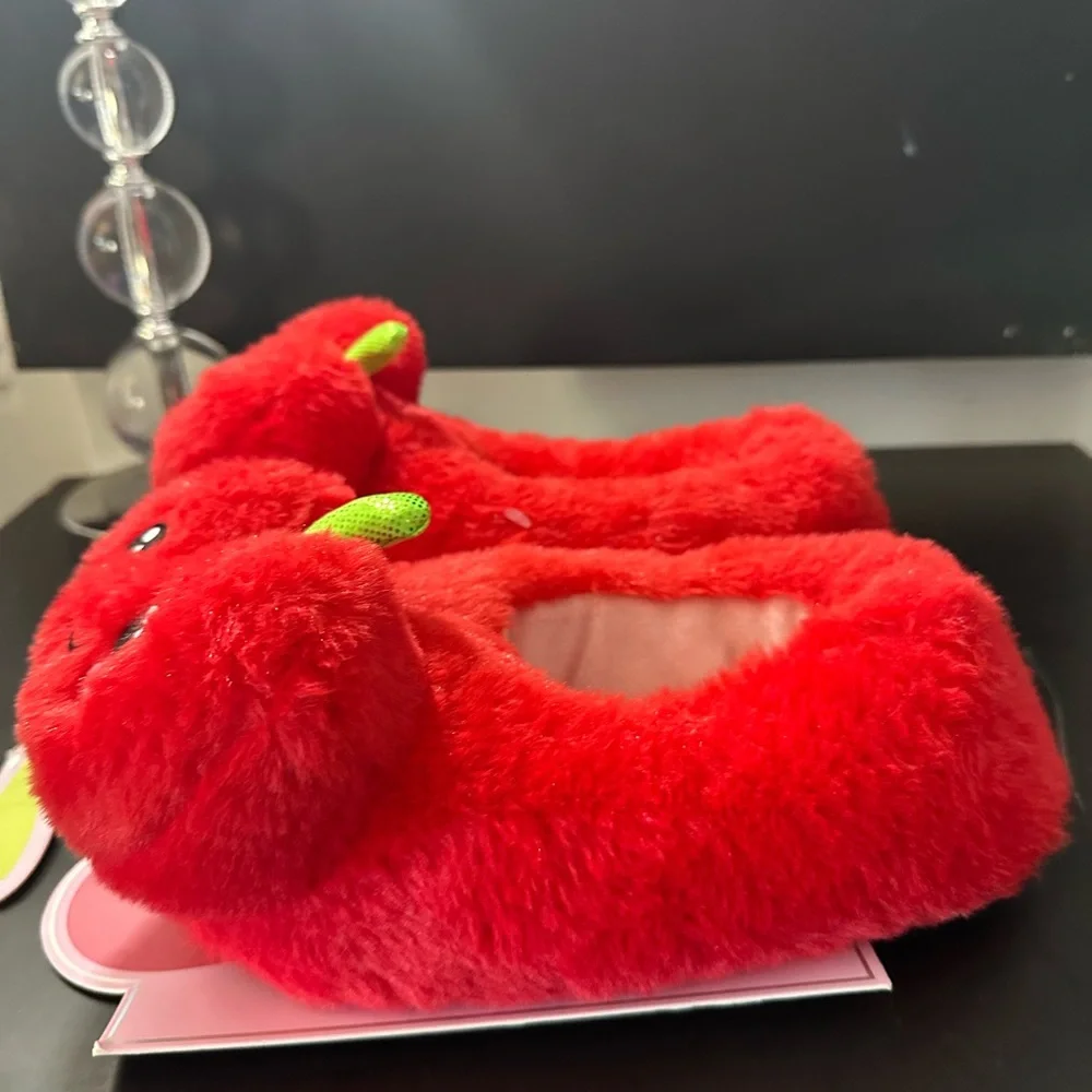 Cozy Slippers brand new